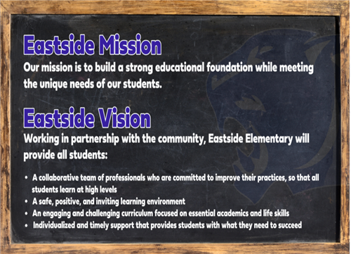 vision